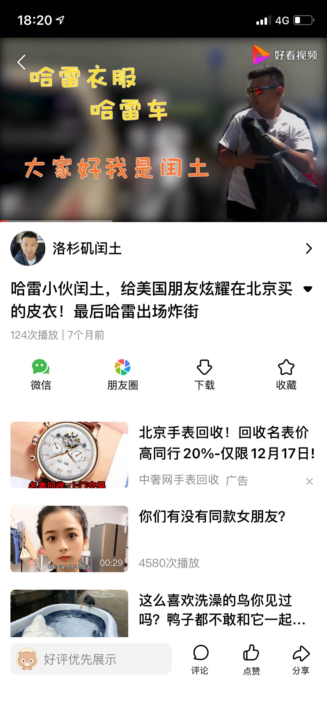 洛杉矶小鹿哥